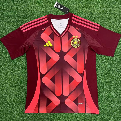 25-26 Germany W Away Fans Soccer Jersey *2星