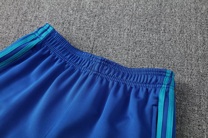 2025 AD Fancy blue Jacket Tracksuit #2313