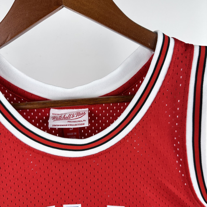 2016-2017 BULLS WADE #3 Red Retro Top Quality Hot Pressing NBA Jersey(圆领）