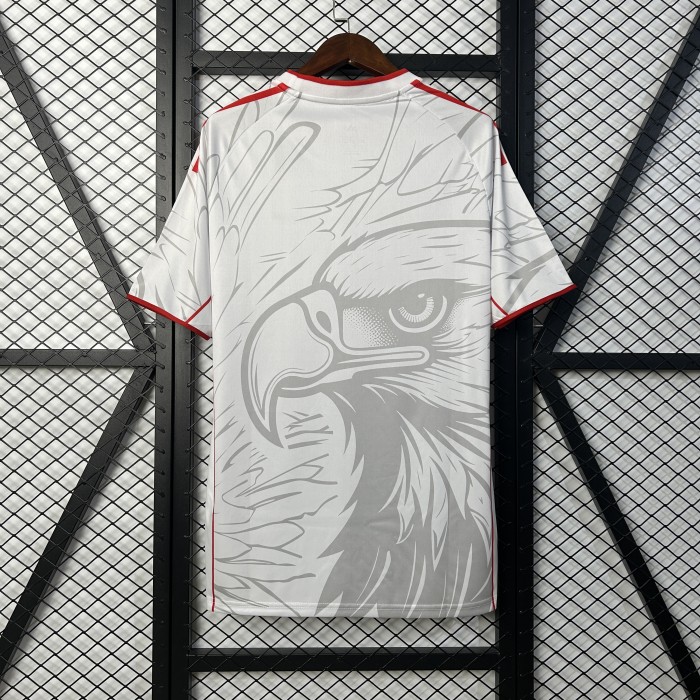 25-26 Benfica Special Edition Fans Soccer Jersey