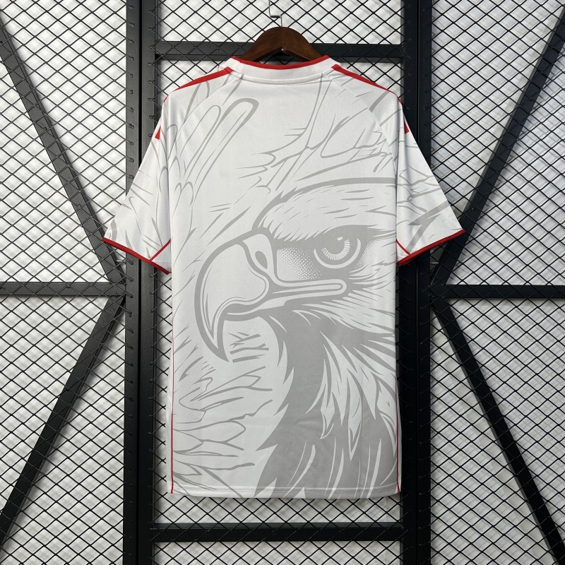 25-26 Benfica Special Edition Fans Soccer Jersey