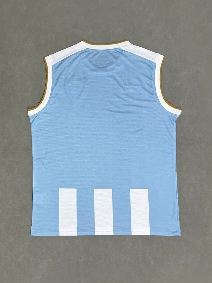 25-26 Paysandu Home Vest Soccer Jersey