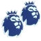 Double (PreL) (34英超普)印双袖