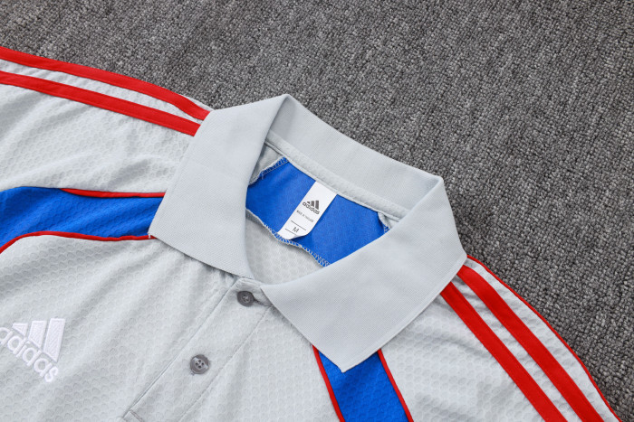 25-26 Bayern Grey Polo Tracksuit