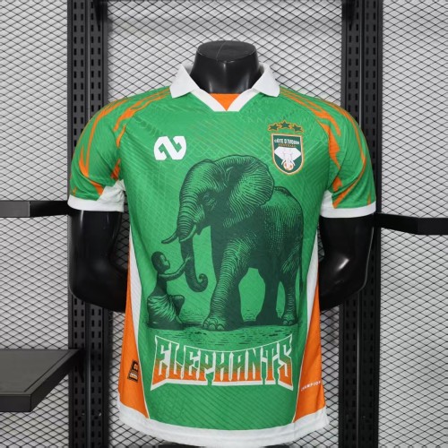 25-26 Ivory Coast Green Player Version Soccer Jersey