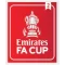 FA CUP (英足总杯2次)
