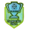CAMPEAO2024 (巴西杯冠)胸前