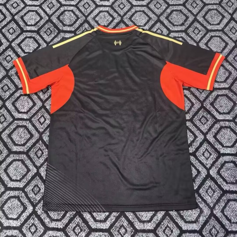 25-26 LIV Special Edition Training shirts *凤凰