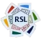 RSL(45沙特联)左袖