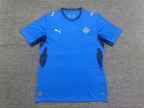 25-26 Iceland Home Fans Soccer Jersey