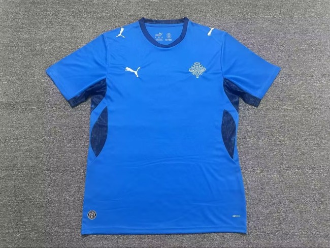 25-26 Iceland Home Fans Soccer Jersey