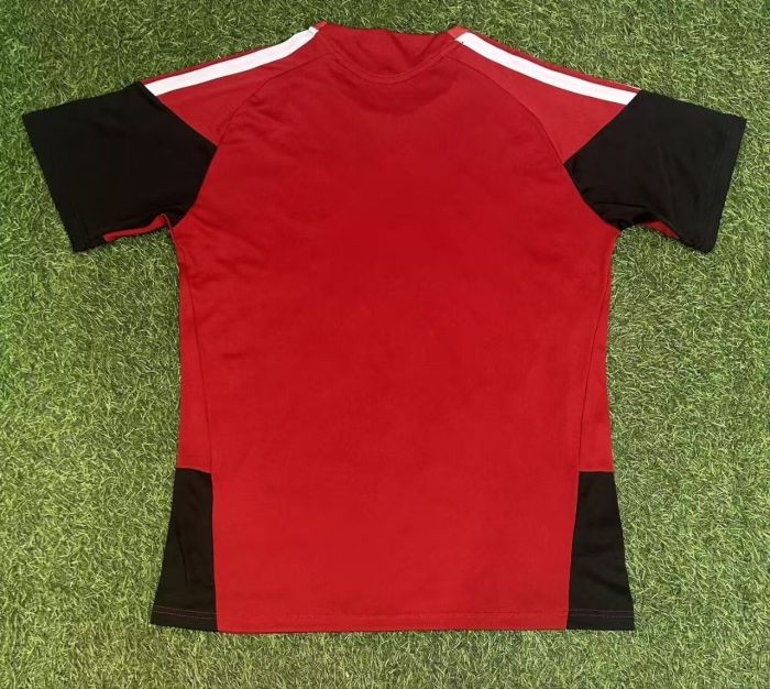 26-27 Germany Red training shirt
