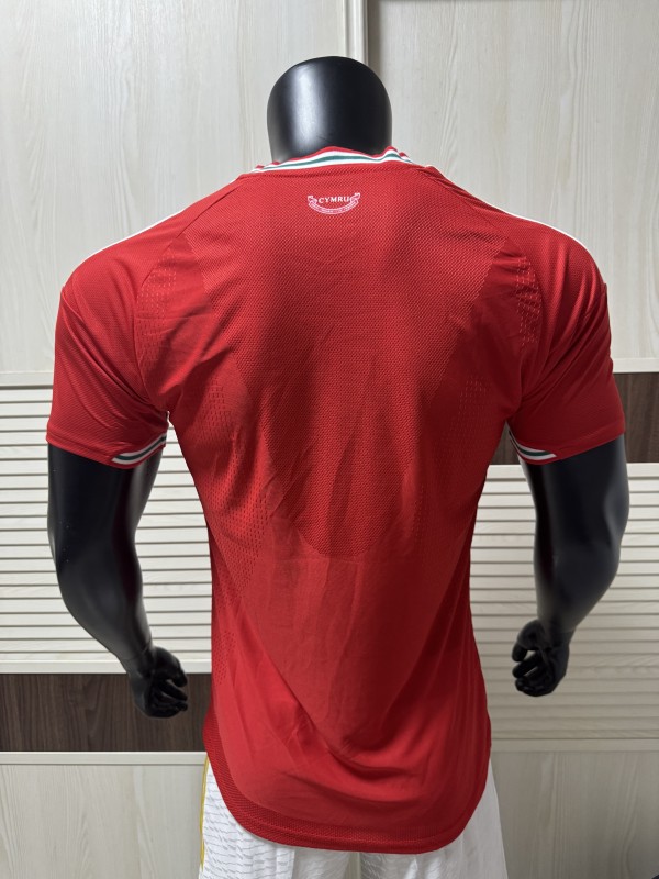 26-27 Wales Home Player Version Soccer Jersey