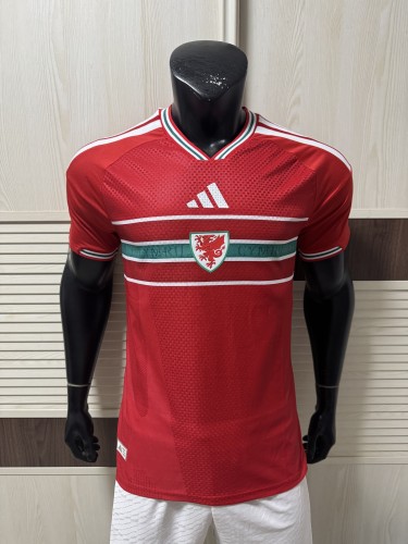 26-27 Wales Home Player Version Soccer Jersey