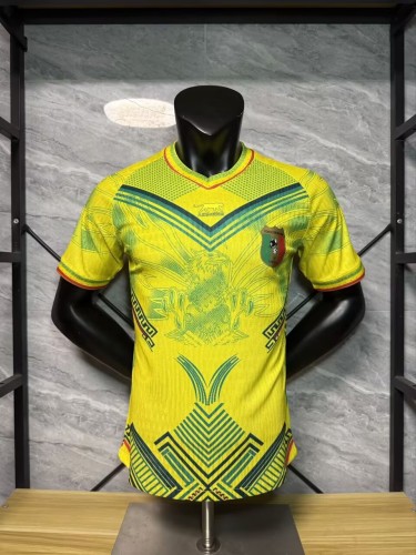 25-26 Mali Yellow Player Version Soccer Jersey（雄鹰）