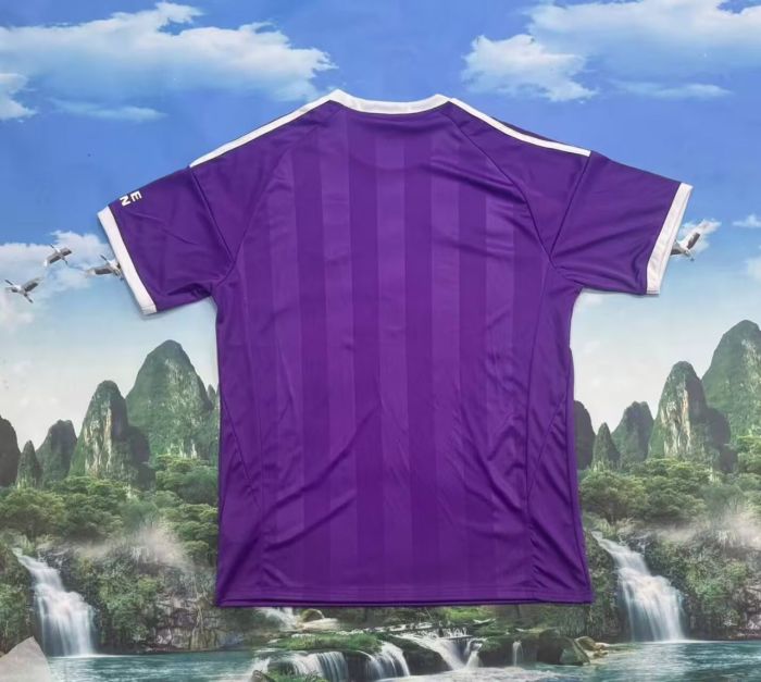 25-26 Aston Villa Purple Goalkeeper Fans Soccer Jersey