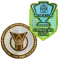 Brasileirao A2025 +CAMPEAO2024 (巴西杯冠+巴甲)