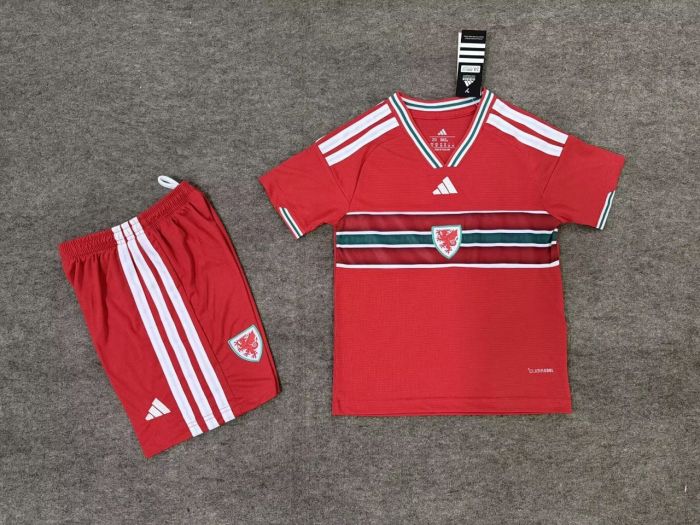 26-27 Wales Home Kids Soccer Jersey