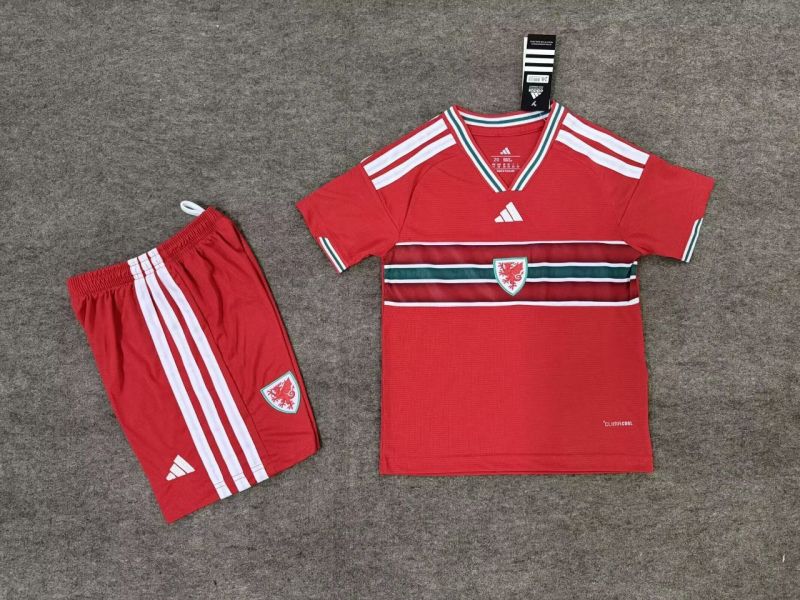 26-27 Wales Home Kids Soccer Jersey