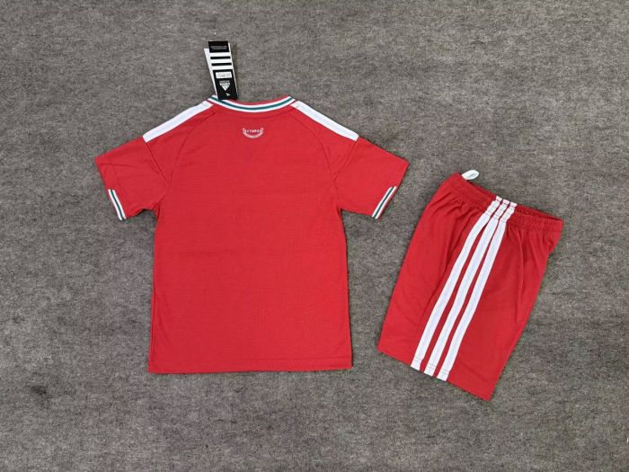 26-27 Wales Home Kids Soccer Jersey