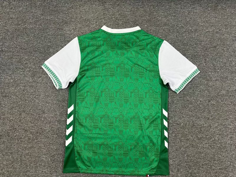 25-26 Saint Etienne Home Fans Soccer Jersey