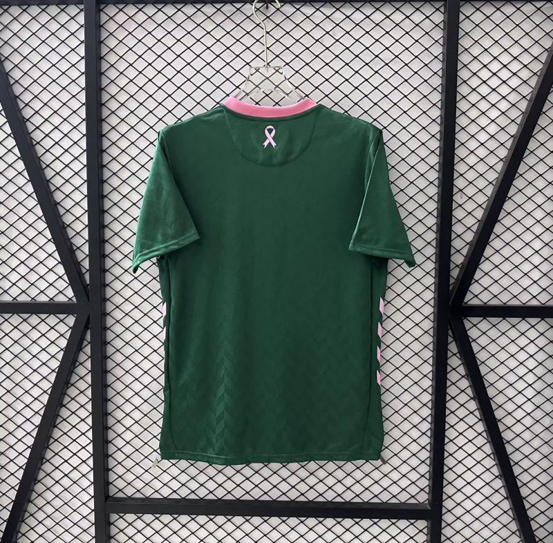25-26 Saint Etienne Green Special Edition Fans Soccer Jersey