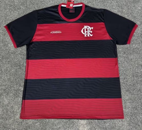 25-26 Flamengo Special Edition Training shirts(圆领）