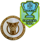 Brasileirao A2025 +CAMPEAO2024 (巴西杯冠+巴甲)