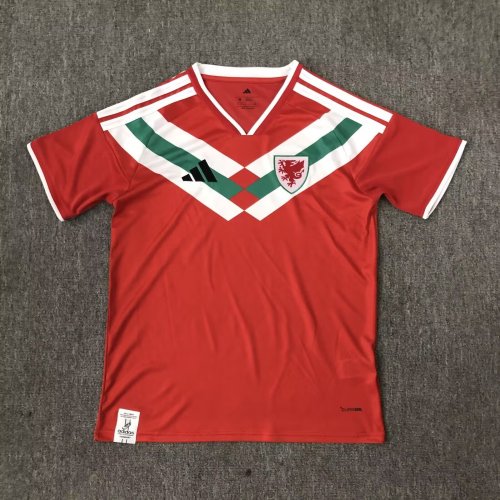 26-27 Wales Special Edition Fans Soccer Jersey