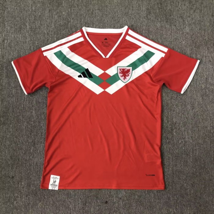 26-27 Wales Special Edition Fans Soccer Jersey