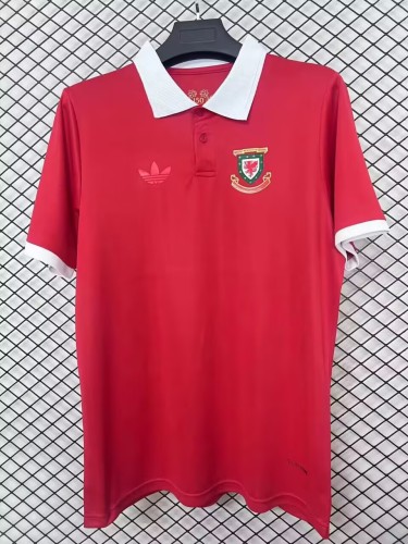 26-27 Wales Anniversary Edition Fans Soccer Jersey