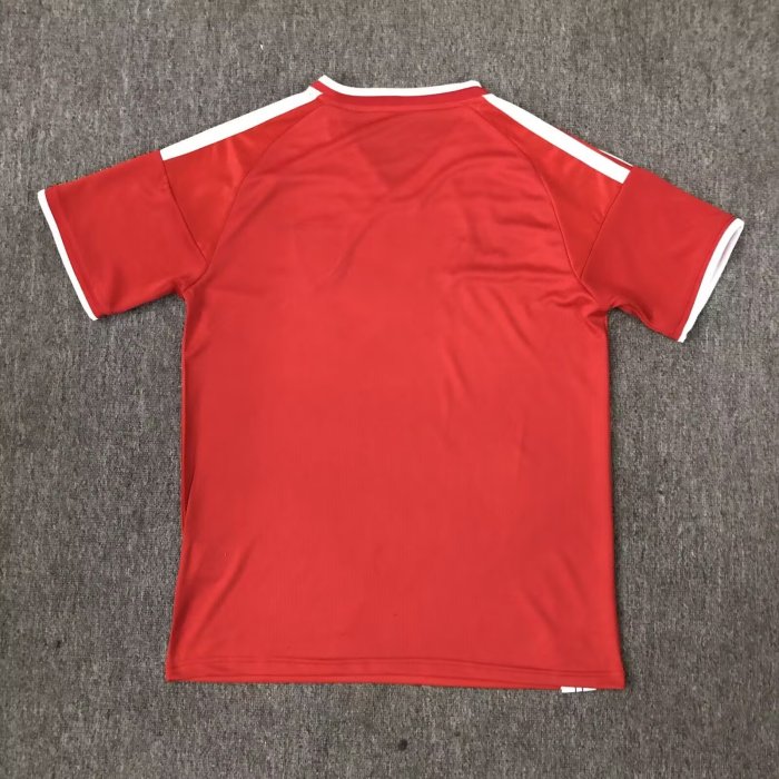 26-27 Wales Special Edition Fans Soccer Jersey