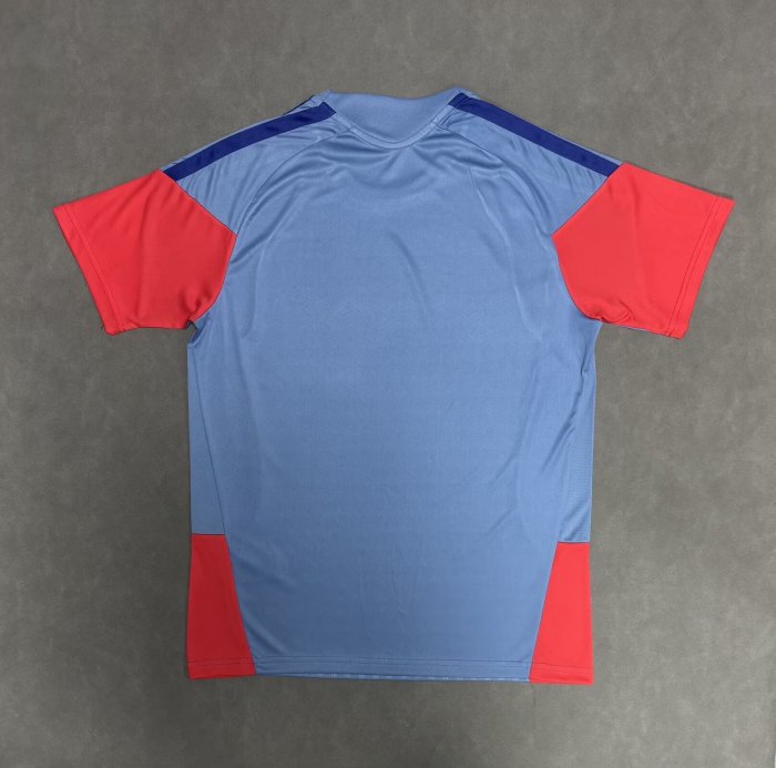 26-27 Japan Blue Grey Fans Soccer Jersey