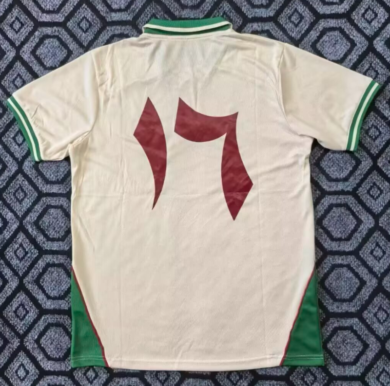 25-26 Palestina Beige Training shirts 绿领