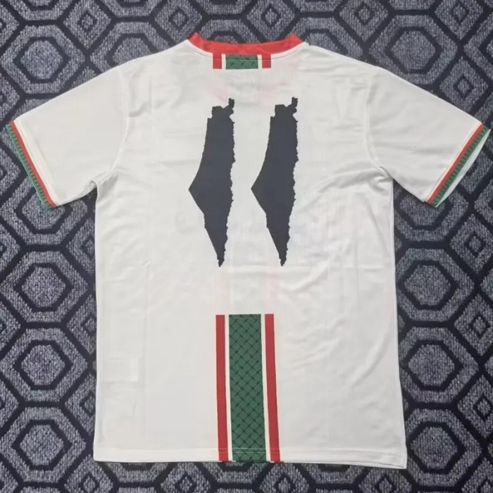 25-26 Palestina White Special Edition Training shirts 阿拉伯文版