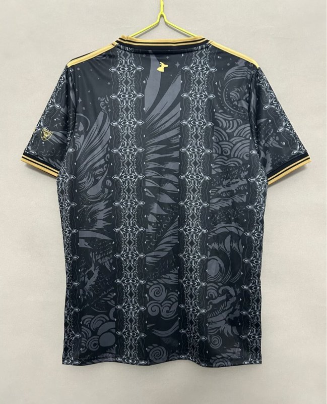 25-26 Argentina Black Gold Special Edition Training shirts