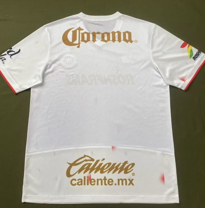 25-26 Toluca Away Fans Soccer Jersey