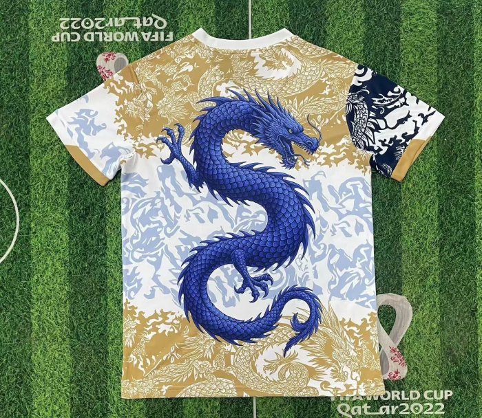 25-26 Porto Special Edition Training shirts (蓝龙)