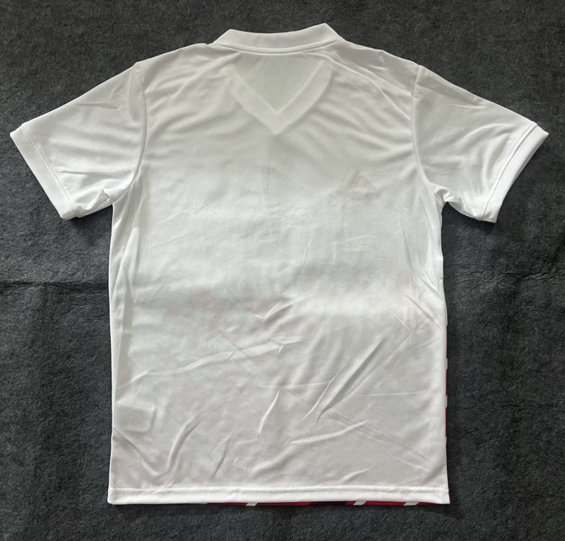 25-26 Benfica Red White Special Edition Training shirts (火焰)