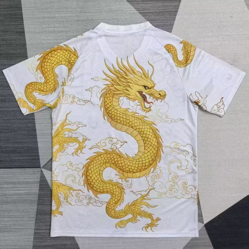 25-26 Porto Special Edition Training shirts (红字金龙)