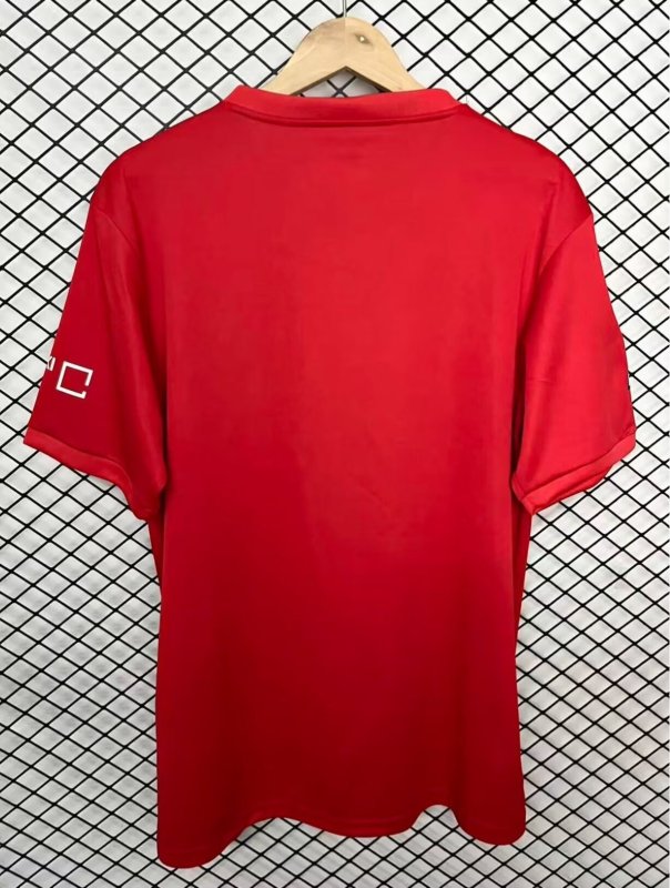 25-26 Osasuna Special Edition Fans Soccer Jersey