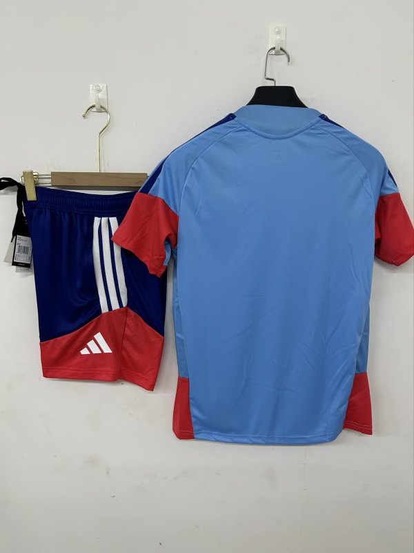 26-27 Japan Blue Grey Training Short Suit
