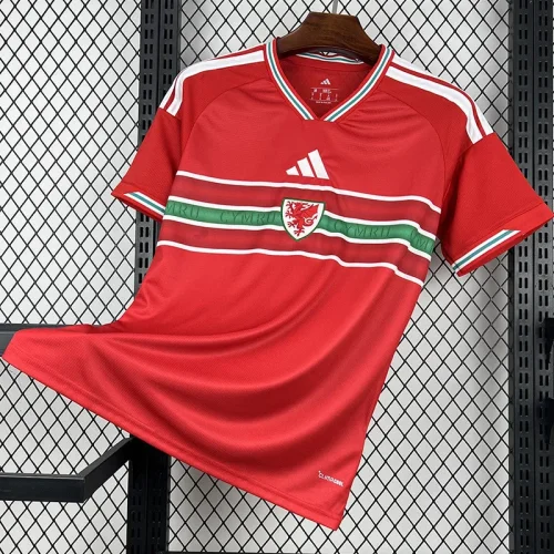 26-27 Wales Home Fans Soccer Jersey