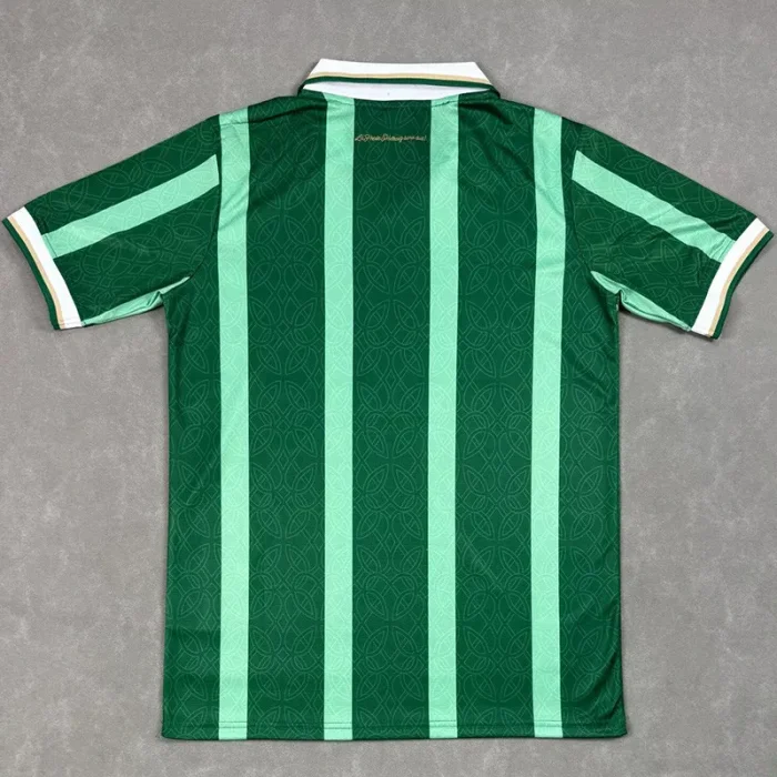25-26 Aston Villa Green Special Edition Fans Soccer Jersey