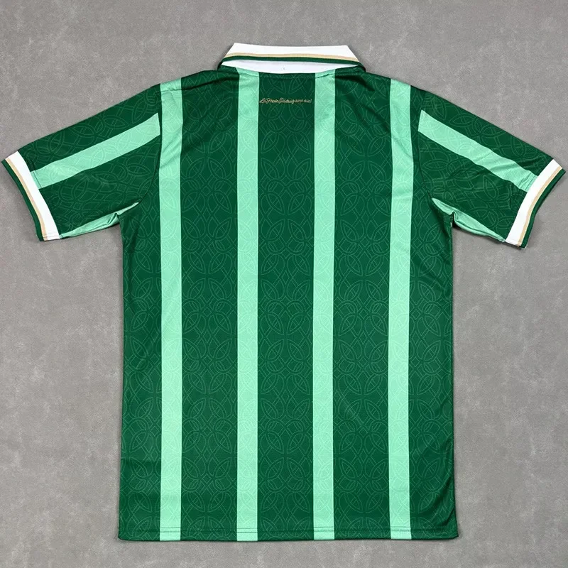 25-26 Aston Villa Green Special Edition Fans Soccer Jersey