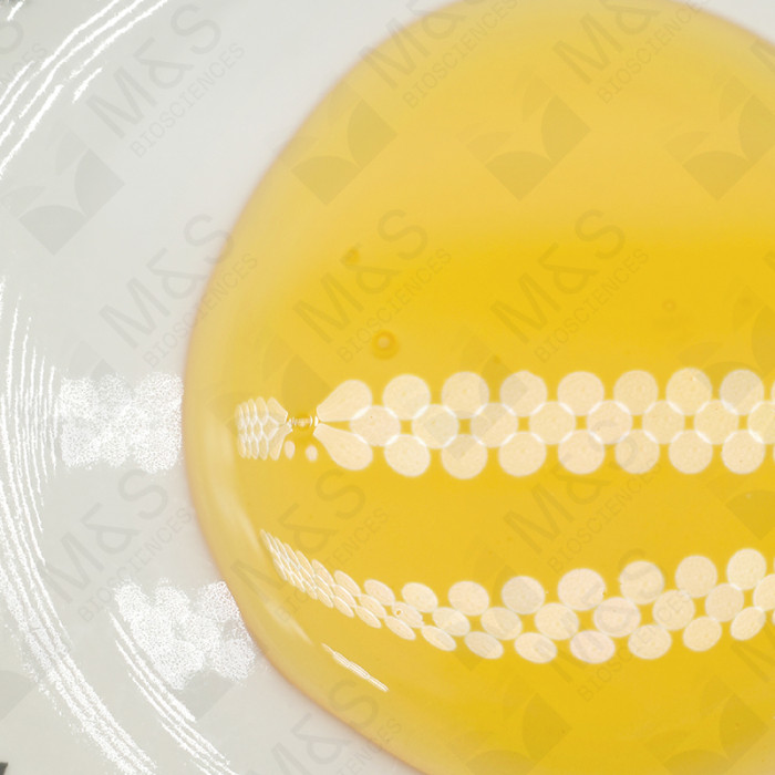 Broad Spectrum CBD Distillate