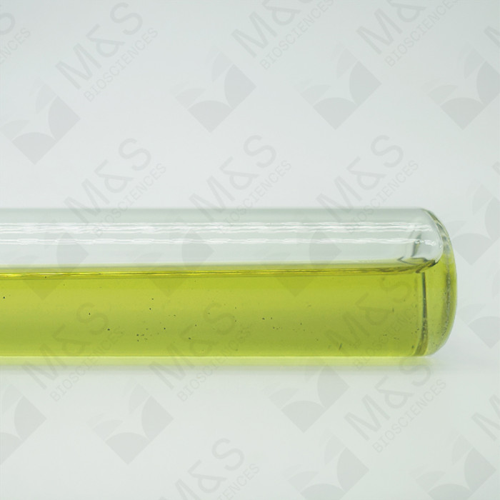 Industrial Hemp Total Terpenes