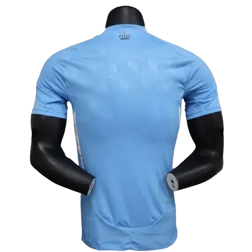 Belgium Away Jersey Player Version Euro 2024