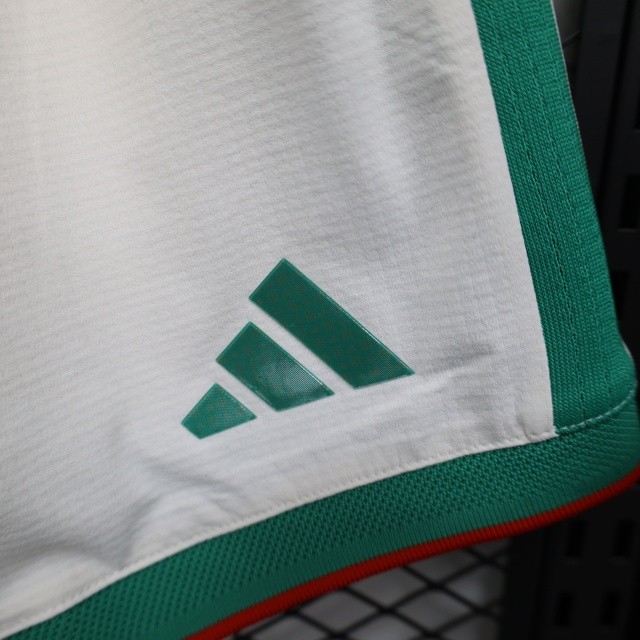 2026 Algeria World Cup Home Soccer shorts Fan/Player version