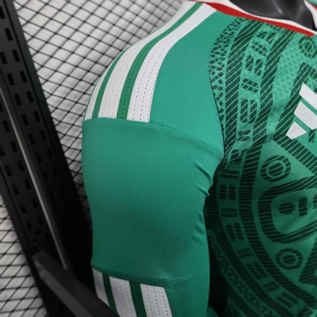 2025-26 Mexico World Cup Long Sleeve Home football jersey Player Version